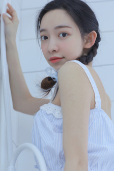飞机上的秘密服务H